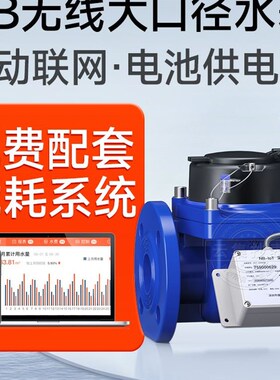 大口径工业水表 无线远传NB-iot物联网智能法兰表 赠远程抄表系统