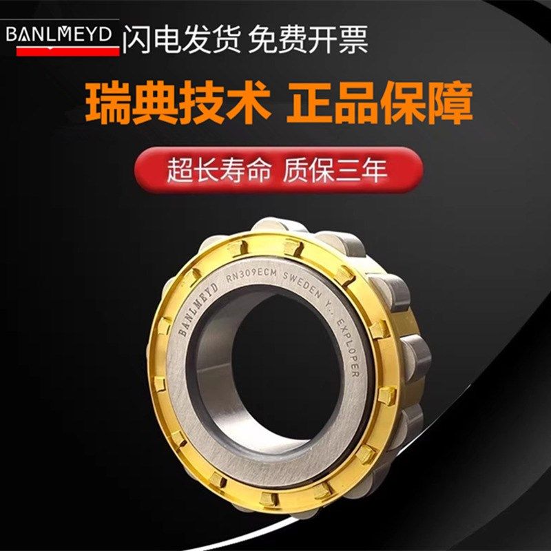 瑞典BMD进口圆柱滚子轴承RN305 306 307 308 309 310 311 312 313
