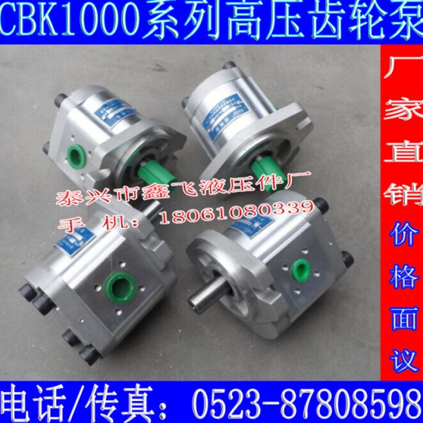 CBK1012 CBK1014 CBK1016 CBK1020 CBK1025齿轮泵B2RF B1RT B1LT