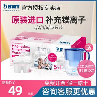进口家用净水器镁离子过滤芯bwt滤水壶滤芯 倍世净水壶滤芯原装