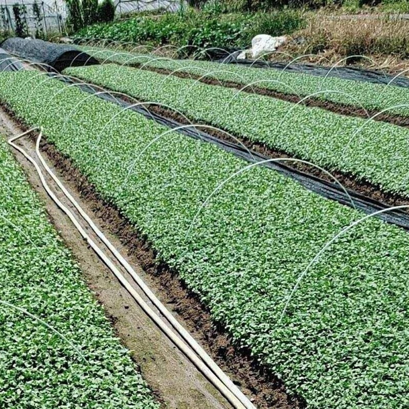 拱棚支架果树支架蔬菜棚保温棚花棚农用玻璃纤维杆园艺大棚纤维棒