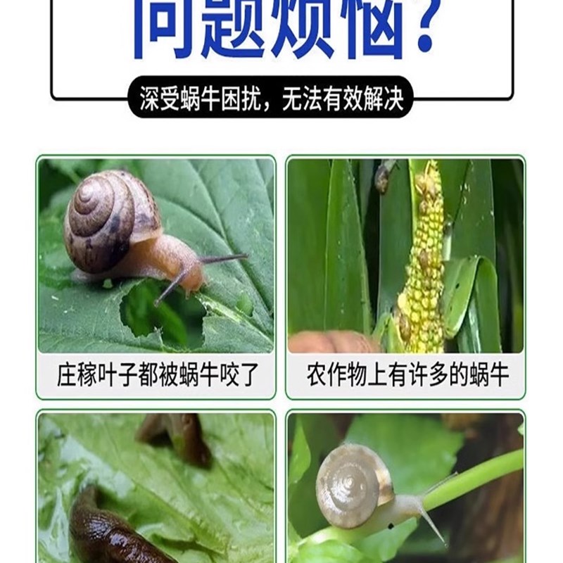 菜地杀蜗牛专用特效药不伤蔬菜白菜青菜地灭鼻涕虫蛞蝓田螺防虫片