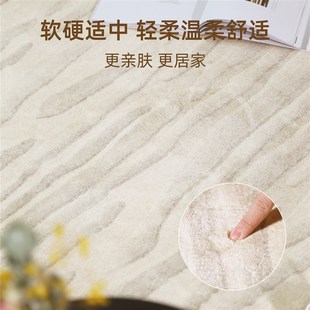 卧室床边毯轻奢高级家用地垫防水隔音房间茶几毯 地毯客厅2024新款