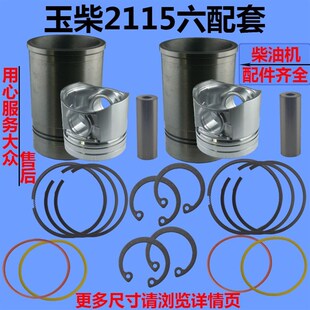 玉配动力 两缸柴油发动 六动力