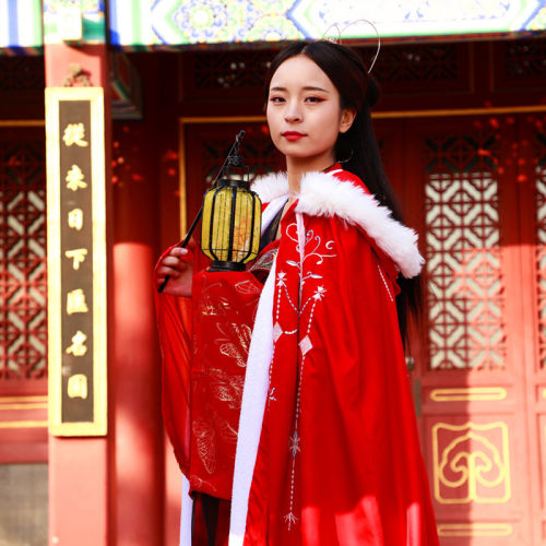 新年铁艺中式仿古灯笼拍摄道具cos手提蔚州古典灯笼春节元宵彩灯