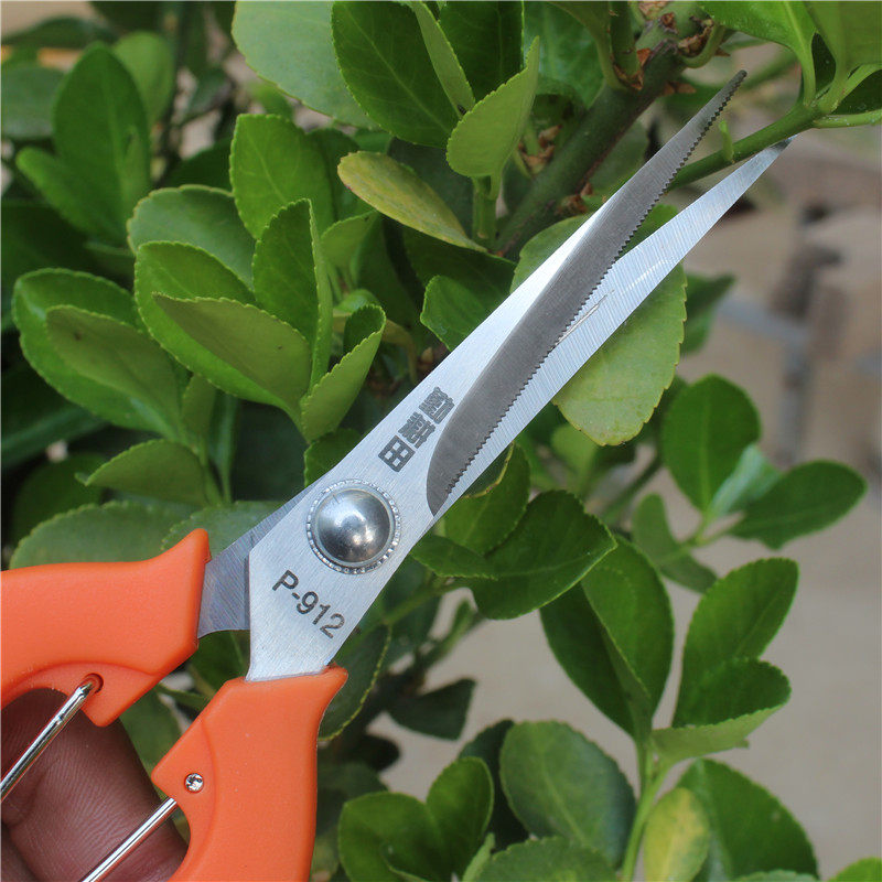 勤耕田葡萄采果剪子稀果疏花剪修枝剪不锈钢加长蔬果采摘摘果剪刀,居家日用,园艺刀剪,淘宝优惠券,粉丝福利购,淘宝优惠卷