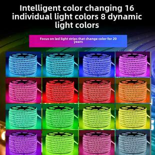 灯带led三色客厅吊顶220v霓虹家用遥控七彩变色户外超亮防水灯条