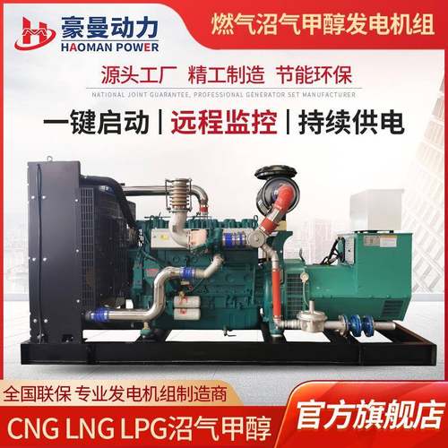 天燃气发电机组KW甲醇发电机养殖场养猪厂用KW沼气发电机组