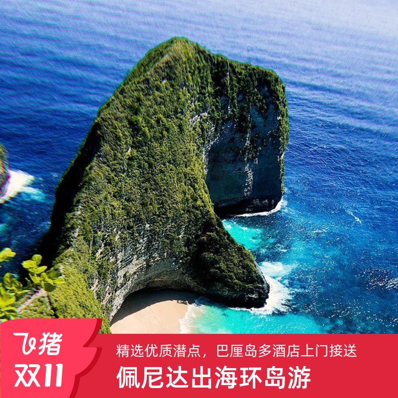 巴厘岛佩尼达一日游