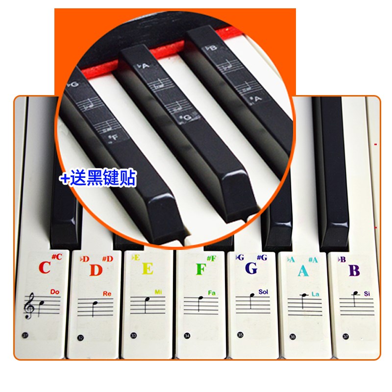 五线谱自学钢琴键盘贴纸透明贴膜电子琴手风琴37彩色61辅助88配件