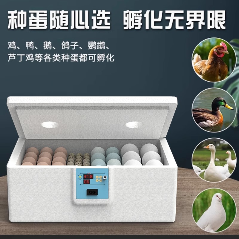 孵化器小型家用全自动智能孵蛋器迷你水床孵化机小鸡芦丁鸡孵化箱