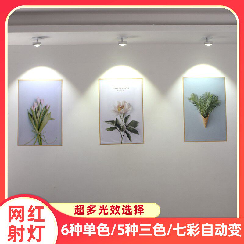 LED背景射灯客厅沙发照画灯可翻转嵌入式洗墙灯七彩明装壁灯聚光