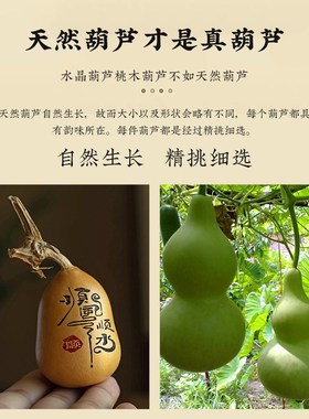 朴房纯天然葫芦汽车家居摆件手把件文玩葫芦胖墩手捻雕墨刻艺术品
