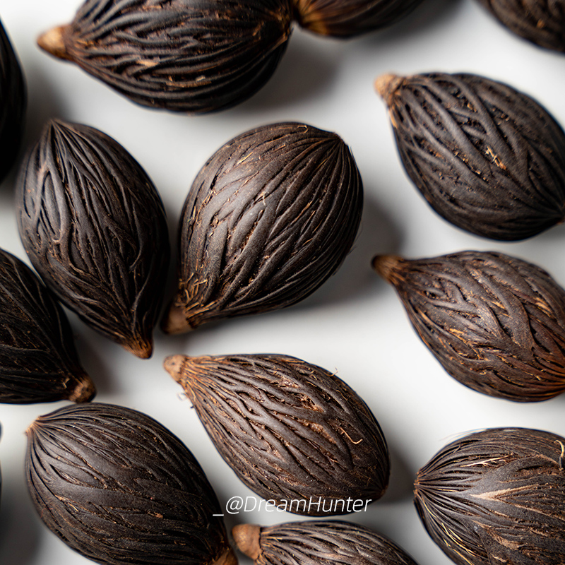 狐尾椰子天然千丝果菩提子原籽挂件装饰吊坠DIY材料手作标本干花