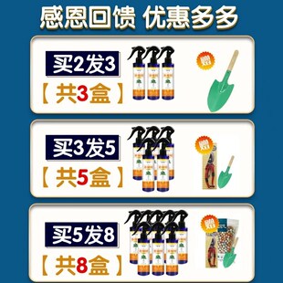 幸福树叶子干枯落叶专用肥料营养液枯萎病叶斑病全植通用营养液