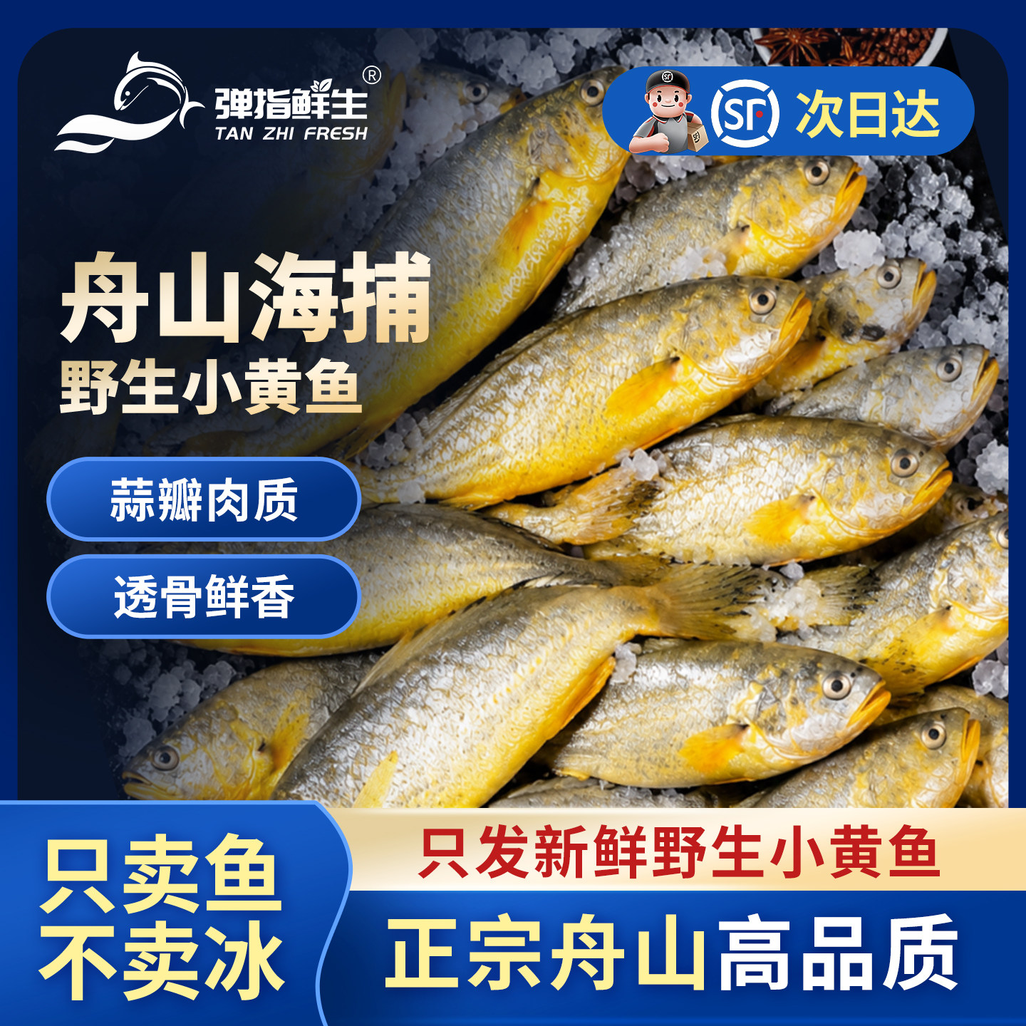 弹指鲜生野生舟山小黄鱼新鲜冷冻黄花鱼烧烤夜宵鲜活水产批发5斤