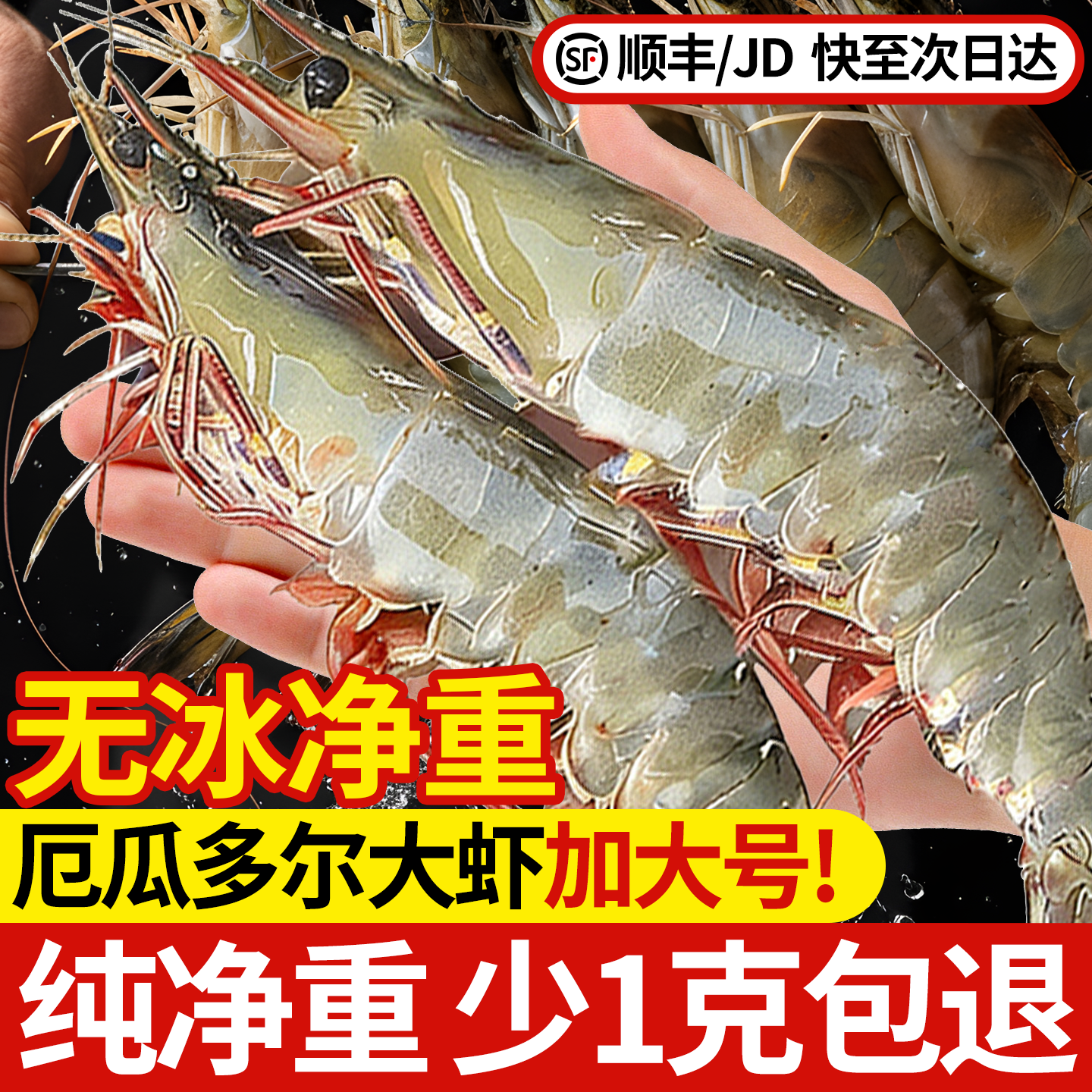 无冰鲜活特大虾冷冻特大号基围虾厄瓜多尔白虾海鲜超大号新鲜对虾