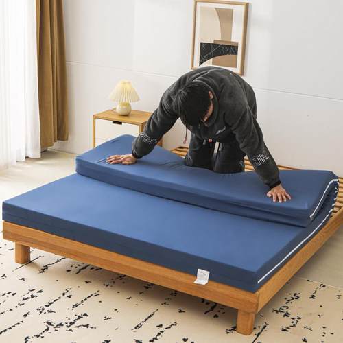 榻榻米垫床垫用家用卧室垫租房专宿舍绵学生单人海垫000010子床软