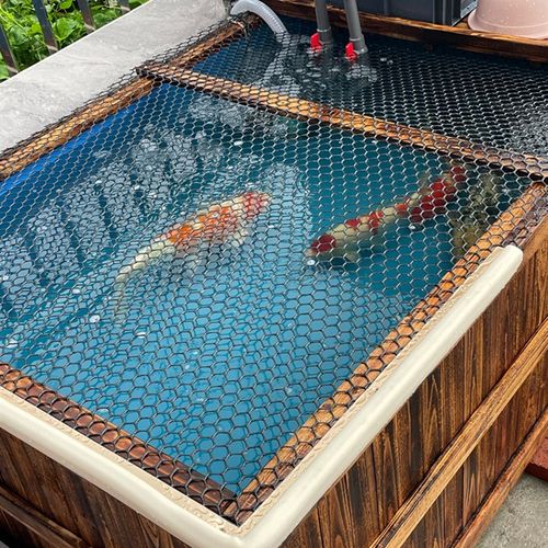 防腐实木帆布防水布鱼池锦鲤养殖专用地缸鱼缸箱户外阳台自建鱼池