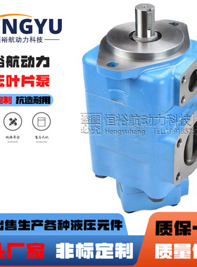 威格士VICKERS叶片泵2520VQ 3525VQ泵3520VQ 4520油泵液压泵压力