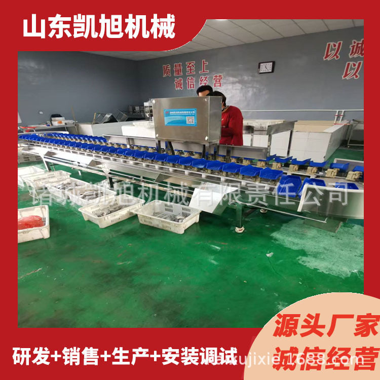 海鲜大小筛选设备水产品自动称重分拣机器连续检重分鱼机