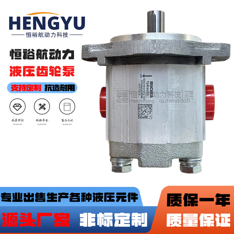 布赫高压油泵BUCHER齿轮泵AP100/1.2 AP212/4.5D AP300/27D液压泵