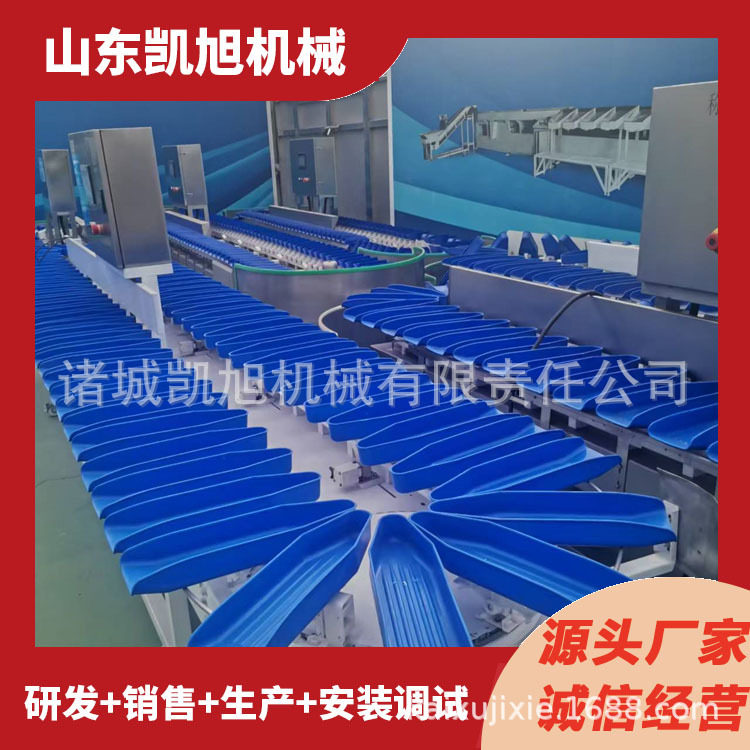 凯旭供应海参鲍鱼重量分级机海产品鱼干自动分级机源头厂家