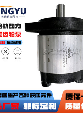 恒裕航液压泵2PDF10DL0Y0T0油泵HPI齿轮泵P1AAN2010HL20C02泵高压