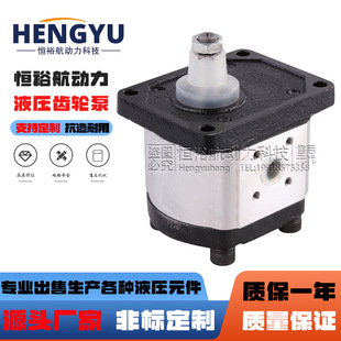 1PLA36D 1PLD54 1LP7.5液压油泵 1LQ7.5D 西班牙ROQUET齿轮泵1L6D