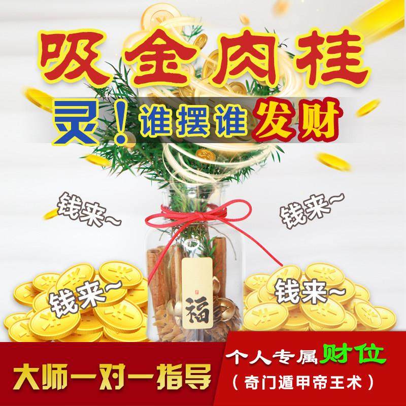 肉桂生财瓶摆件招财花瓶diy玻璃客财厅位乔迁新居搬电视柜办公室,家居饰品,香薰摆件,淘宝优惠券,粉丝福利购,淘宝优惠卷