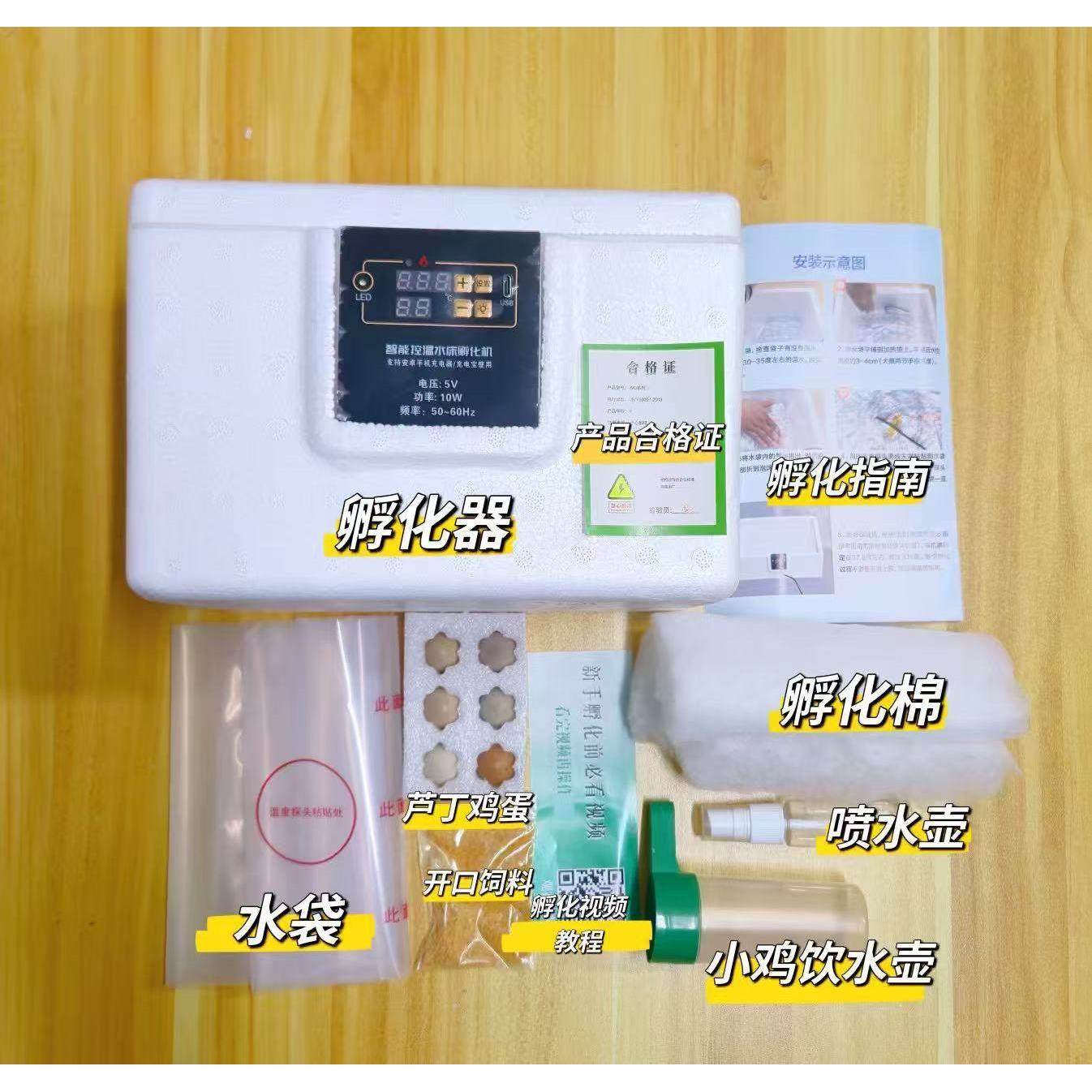 套儿童科实验芦丁察鸡蛋孵化套餐全幼GMU儿园学亲子作业观日记,宠物/宠物食品及用品,宠物鸡,淘宝优惠券,粉丝福利购,淘宝优惠卷