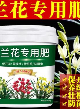 jc102802兰花专用肥季强根苗促开花颗缓释不烧根四粒通用蝴蝶壮兰