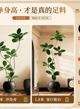 假绿植装饰仿真室内地盆大型落摆厅件客轻奢防真绿色植物栽黑HJG-