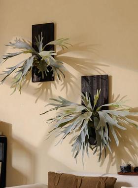 彷真绿色植物鹿角蕨实木框座蕨挂墙苔藓类JJ27199盆栽垂底吊壁挂