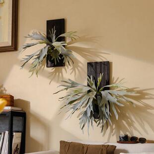 彷真绿色植物鹿角蕨实木框座蕨挂墙苔藓类JJ27199盆栽垂底吊壁挂