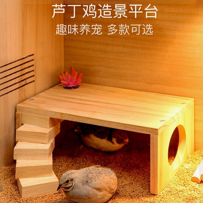 芦丁鸡喂食平台配装饰仓鼠用品全套二层平台架子宠物箱别墅造景
