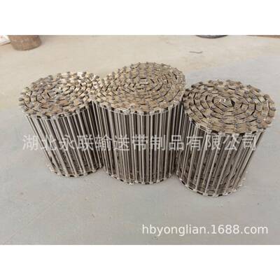 极板烘干机用串杆输送带表干窑用316L长城网链表干窑316L串杆输