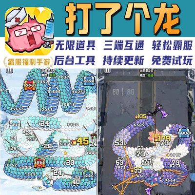 打了个龙 看谁能打过gm后台兑换码礼包折扣科技小程序辅助免广告