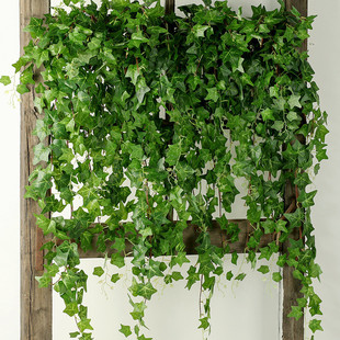 挂墙绿植藤蔓仿真假花藤条壁挂植物长春藤吊兰装 饰绿叶遮挡垂吊