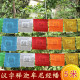 七彩经幡汉字释迦牟尼旌旗环保布龙达隆达七色风马旗经旗5米21面