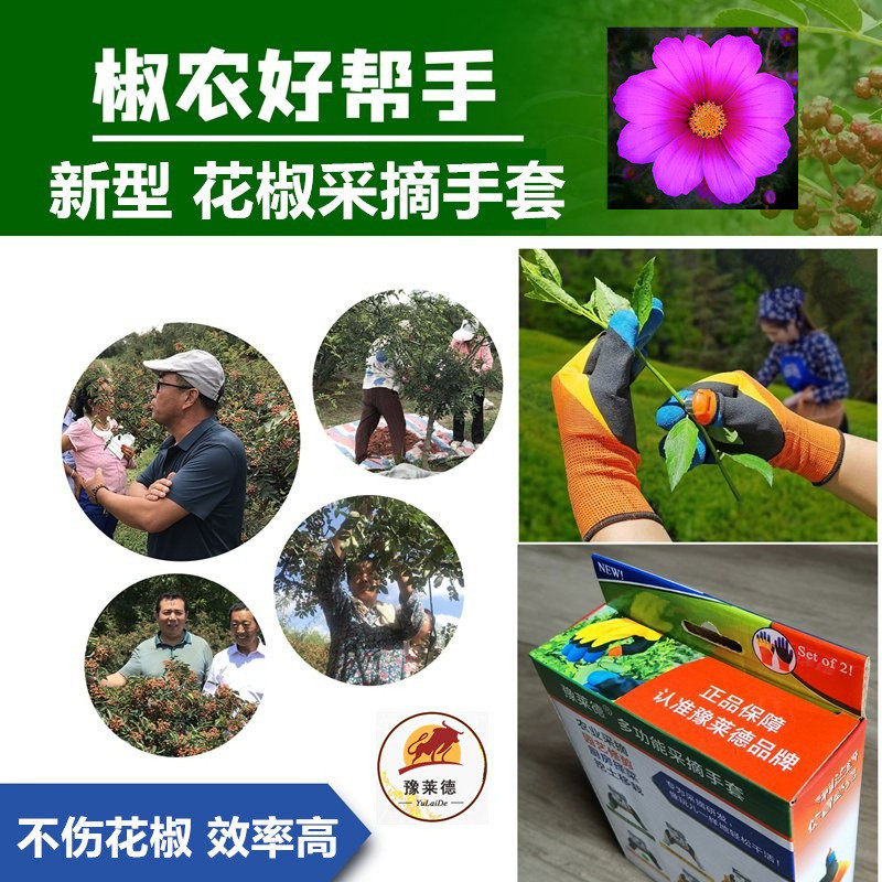 【畅销爆品】摘花椒手套摘菜神器摘豆角采茶拇指刀摘樱桃采摘手套,鲜花速递/花卉仿真/绿植园艺,花材,淘宝优惠券,粉丝福利购,淘宝优惠卷