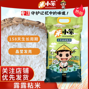 米小笨霜露粘米20斤装南方籼米软糯香甜家庭实惠大包装