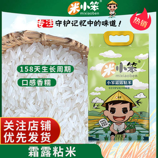 米小笨霜露粘米10斤装南方长粒香米籼米真空小包装家庭宿舍学生装