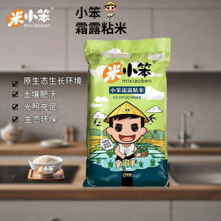 米小笨小笨霜露粘米30斤大包装家庭装籼米软糯香甜大米