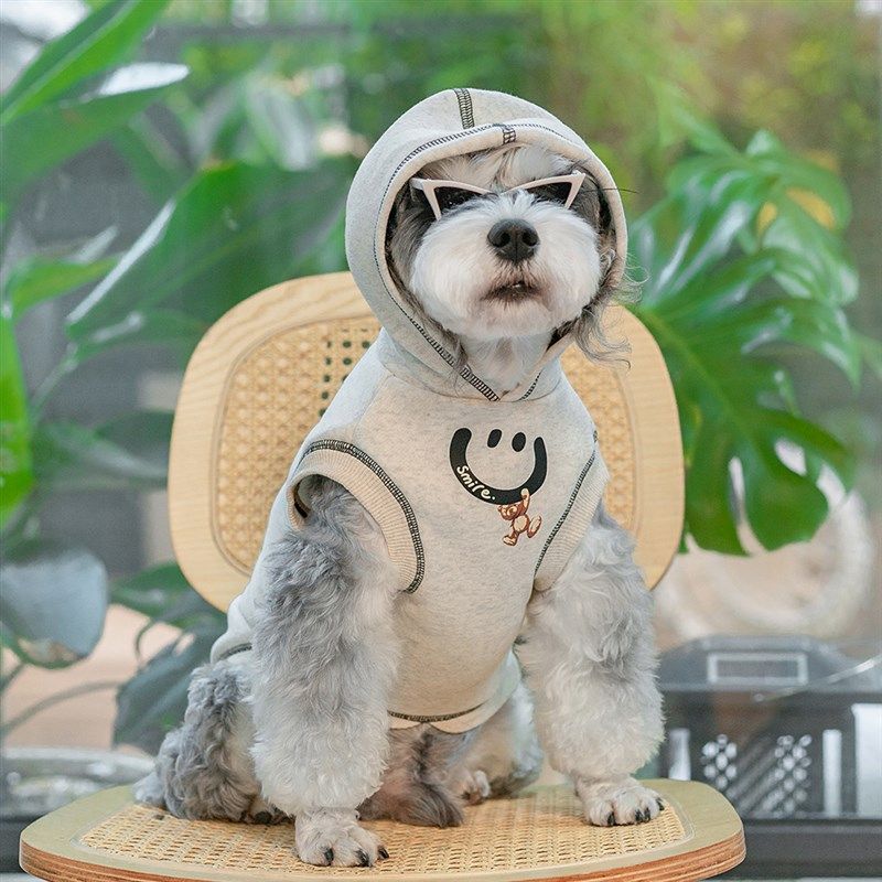 个性宠物连帽g衫秋冬狗狗衣服防掉毛比熊博美柯基雪纳瑞衣服潮,宠物/宠物食品及用品,狗宠物服装/雨衣,淘宝优惠券,粉丝福利购,淘宝优惠卷