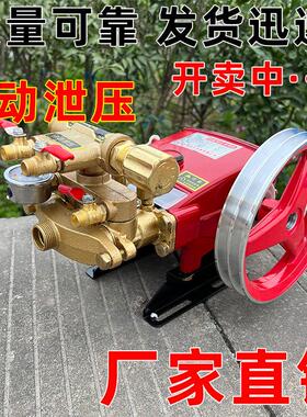 动泄压HHX21//2自6/4060三缸柱塞泵机动喷雾器高压远程果药树喷机