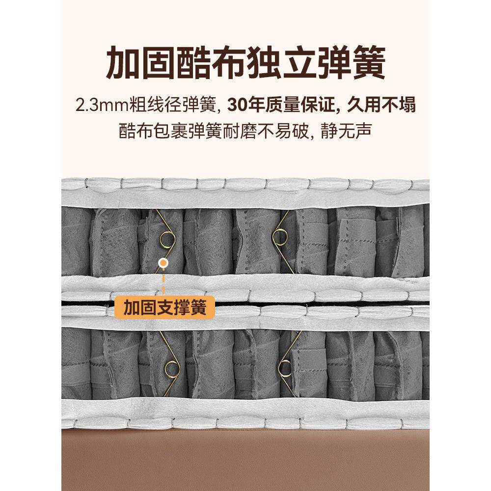海2024马飞雪全拆薄箱簧弹床垫高1cm15公分18乳胶记忆棉家用2矮席