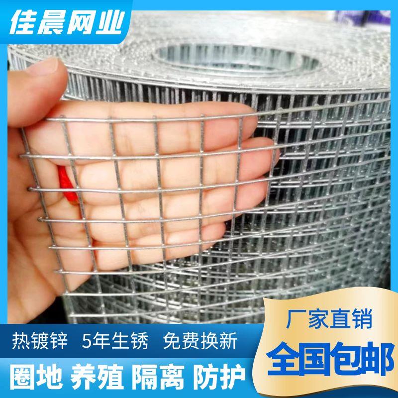 防锈铁网养鸡鸭殖狗钢丝笼网电焊网热浸DR（五金镀丝锌围栏网阳台