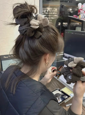 高级感小众咖色毛线蝴蝶结大肠发圈大版发量多头绳韩国丸子头发绳