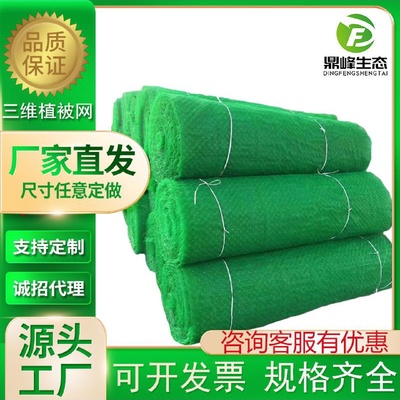 三维植被网护坡固土网三维网垫绿化高速边坡生态绿化植草网